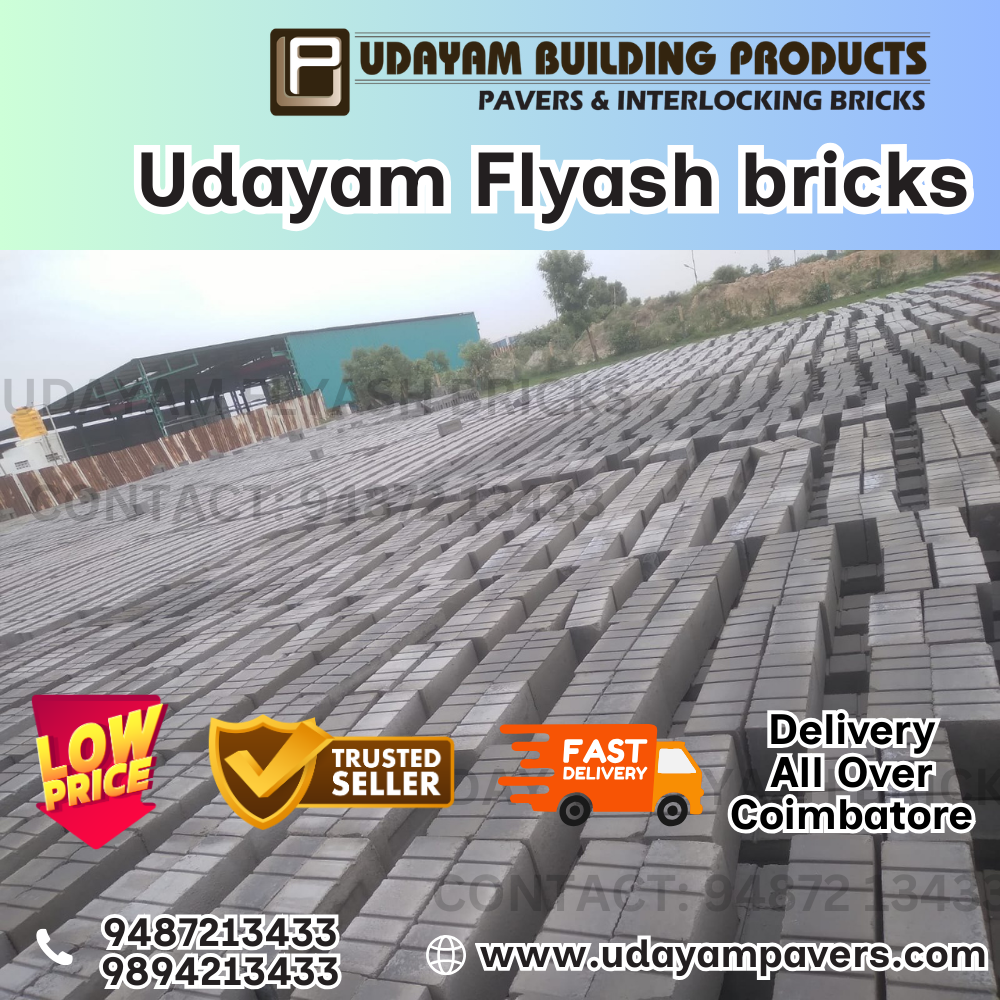 Flyash Bricks Manufacturer